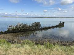 Wonder how long this wreck has been here?